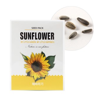 �̴� ������ ���� ����- �عٶ��