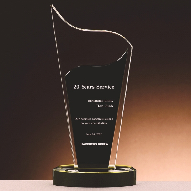 ũ����Ż ���� SAM24P040