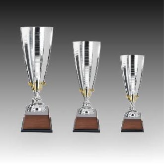 ��� ��ȸ �û� Ʈ���� ���ڸ��� C �ֹ�����