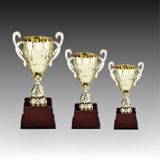 ��� ��ȸ �û� Ʈ���� ���ķ� D �ֹ�����